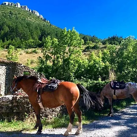 بيت ضيافة Moulin A 3*